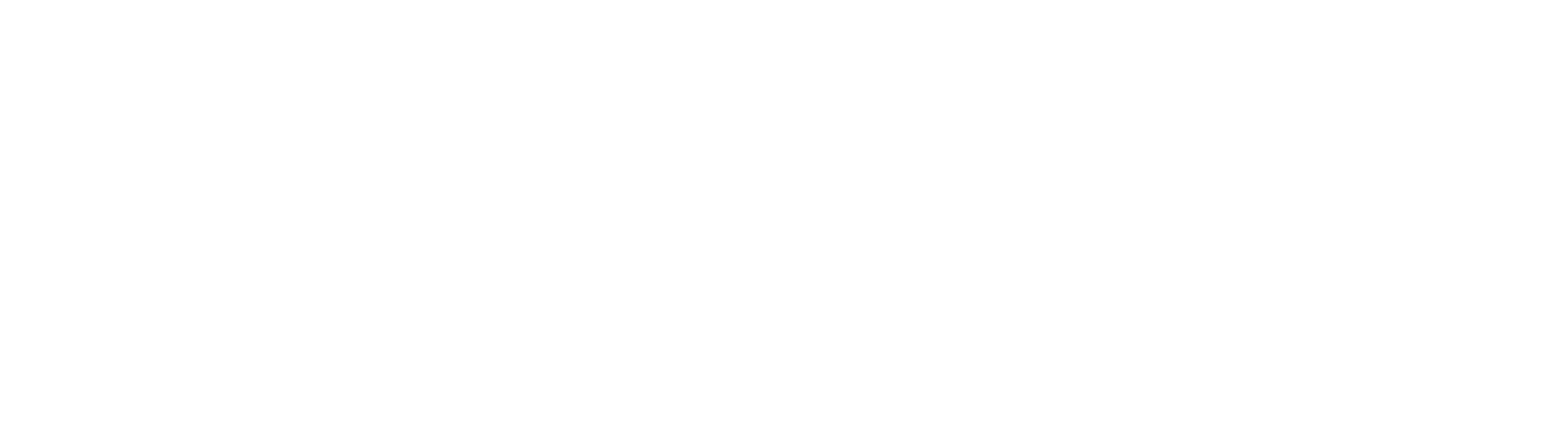 Logo-Conexión-Vertical-White 4